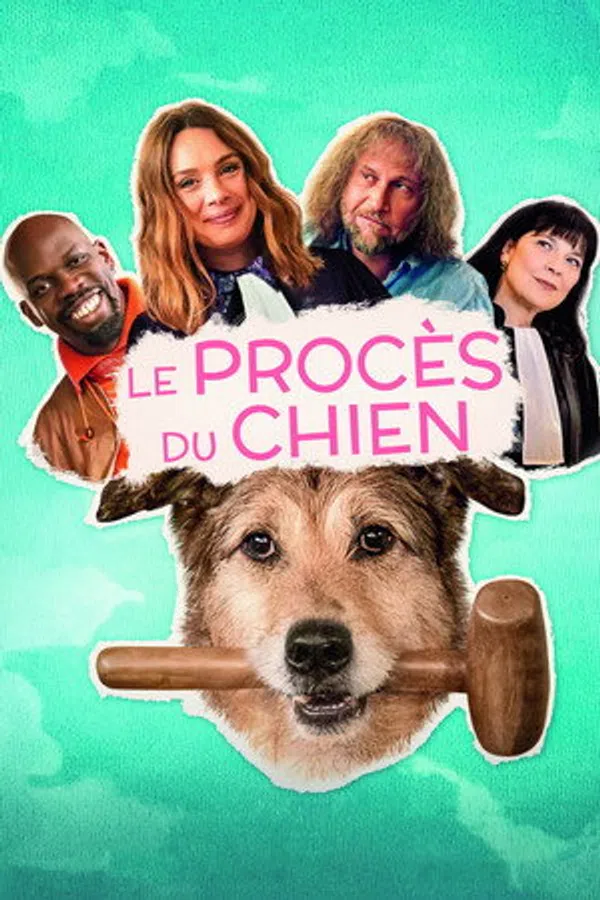 Poster phim Bị Cáo Một Chú Chó trên Phim M?i