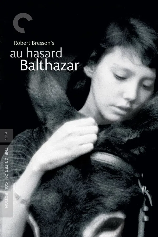 Poster phim Chú Lừa Balthazar trên Phim M?i