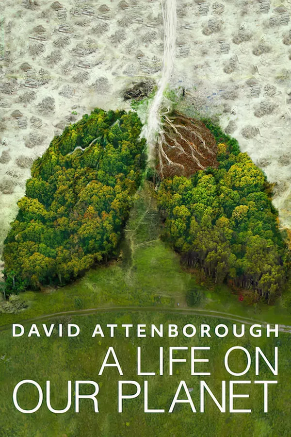 Poster phim David Attenborough: Một Cuộc Đời Trên Trái Đất trên Phim M?i