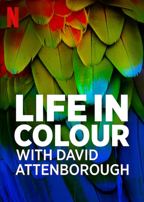 Poster phim David Attenborough: Sự sống đầy màu sắc trên Phim M?i