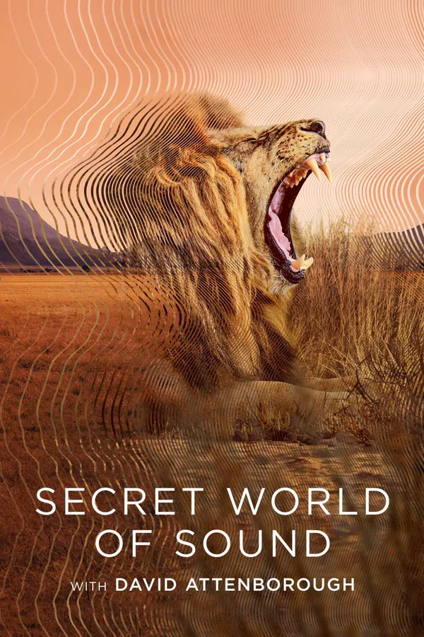 Poster phim David Attenborough: Thế giới bí mật của âm thanh trên Phim Mới