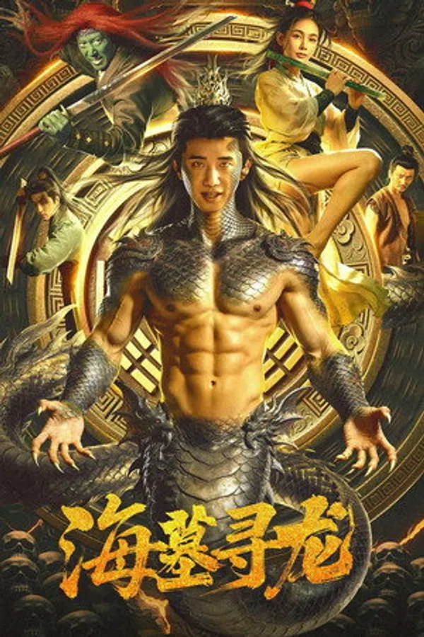 Poster phim Hải Mộ Tầm Long trên Phim M?i