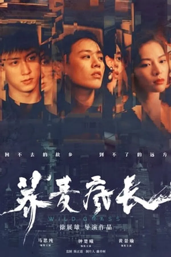 Poster phim Mùa Hoa Kiều Mạch trên Phim M?i