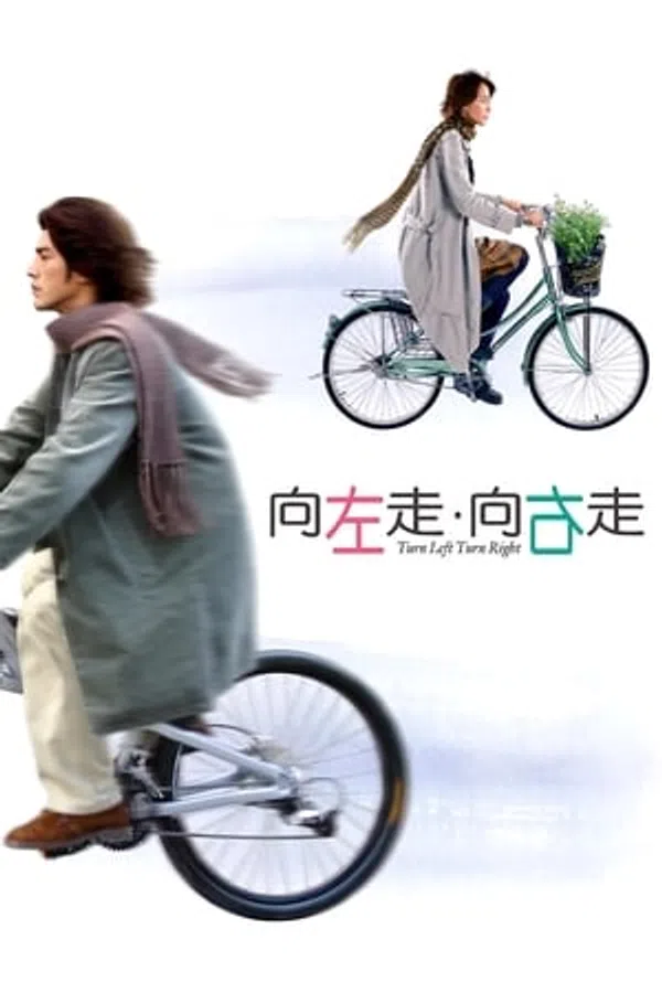 Poster phim Nàng Rẽ Trái, Chàng Rẽ Phải trên Phim M?i