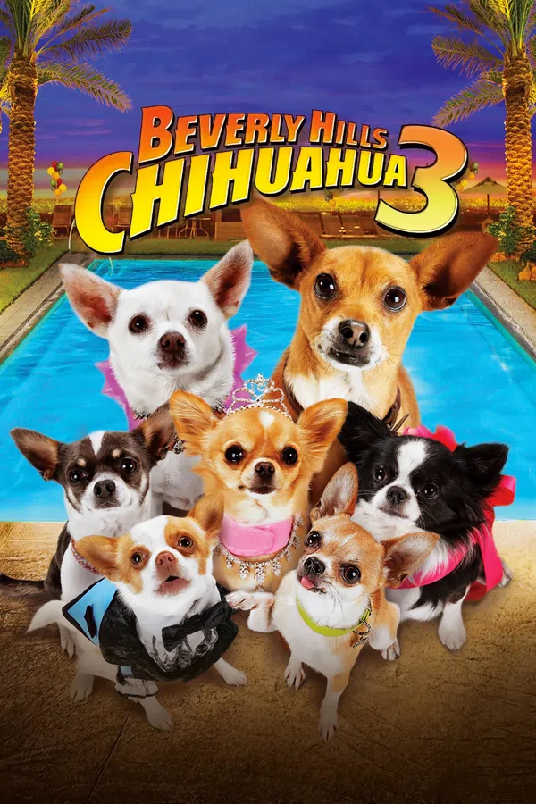 Poster phim Những Chú Chó Chihuahua 3 trên Phim M?i